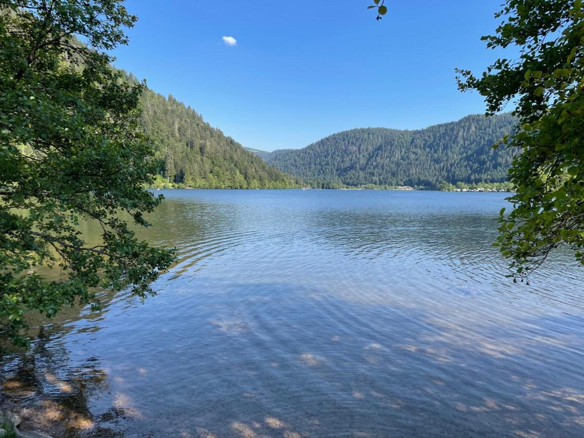 Le Chalet Blanc De Gerardmer Avec Spa Exterior foto